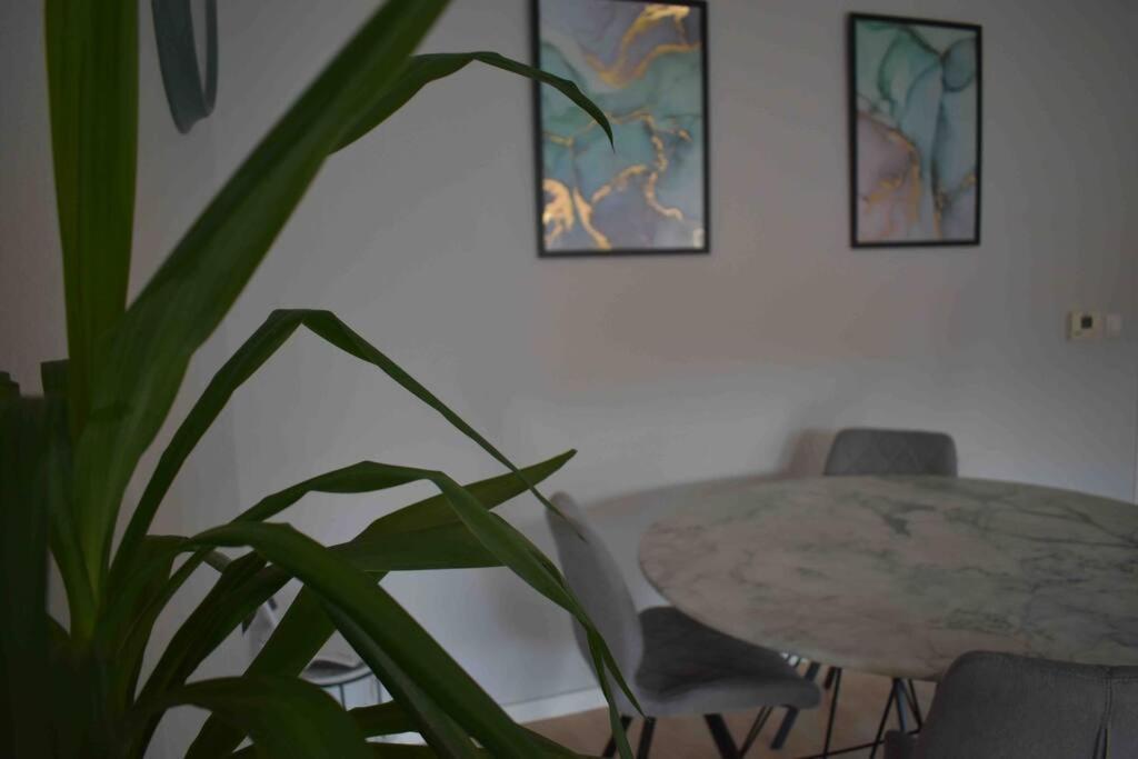 Leben An Der Ems. Appartement Rheine Buitenkant foto