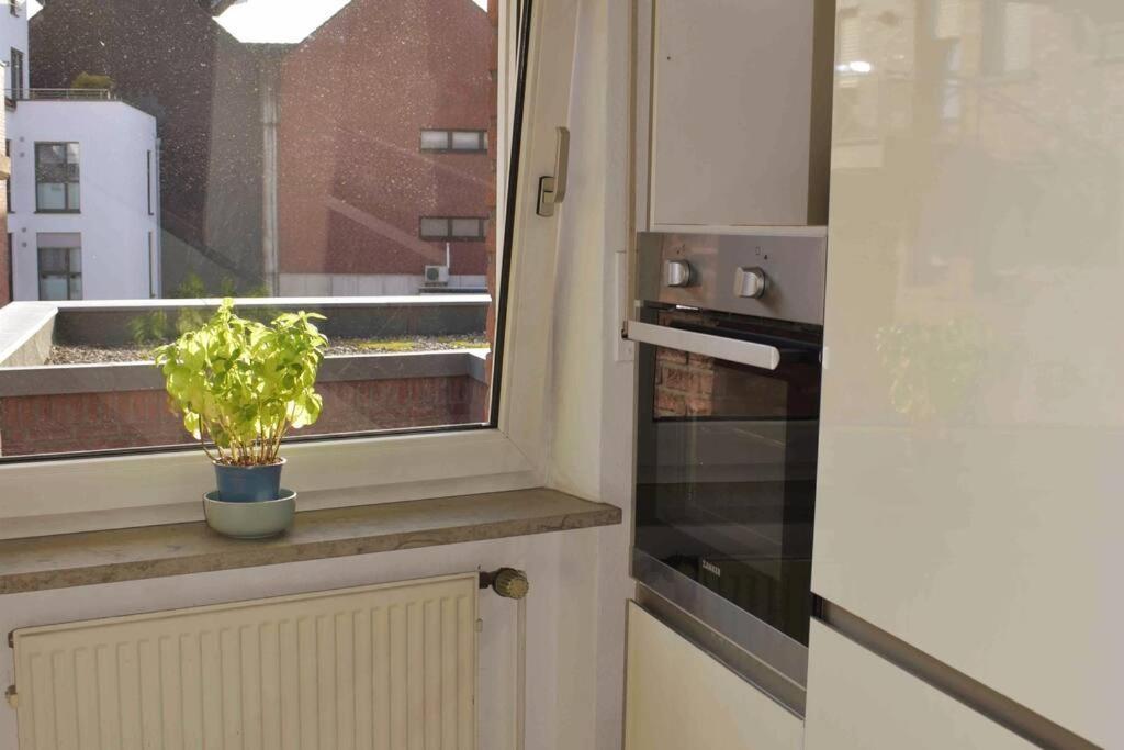 Leben An Der Ems. Appartement Rheine Buitenkant foto